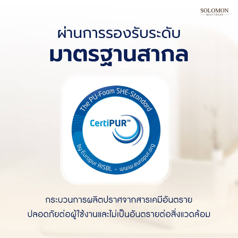 โซฟา SOLOMON รุ่น MORI สีครีม_4